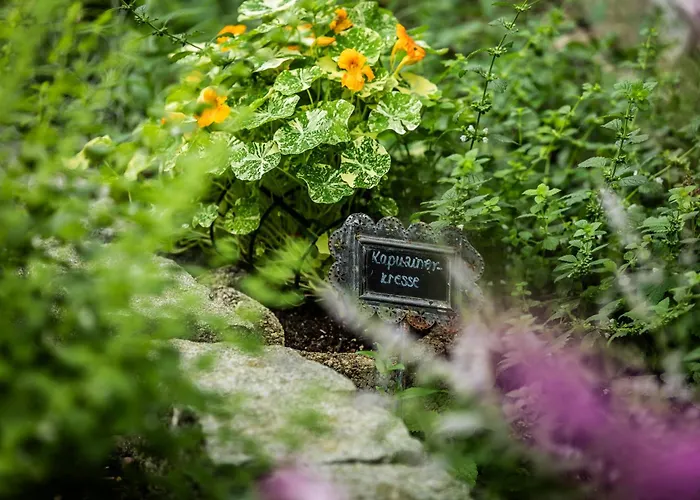 Szálloda Wunsch Muerz - Natural Health & Bad Füssing